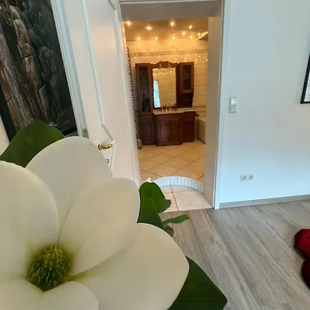 And Cozy In * Daaden