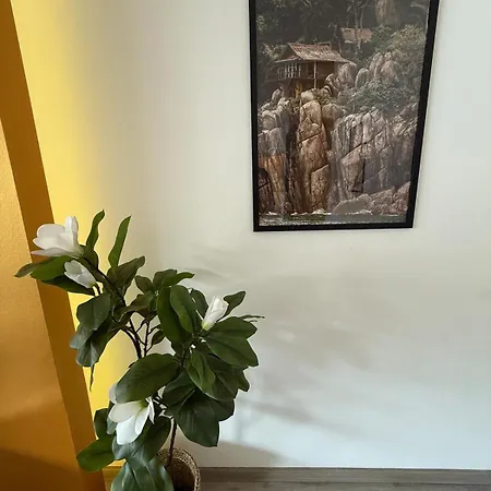 And Cozy In Daaden
